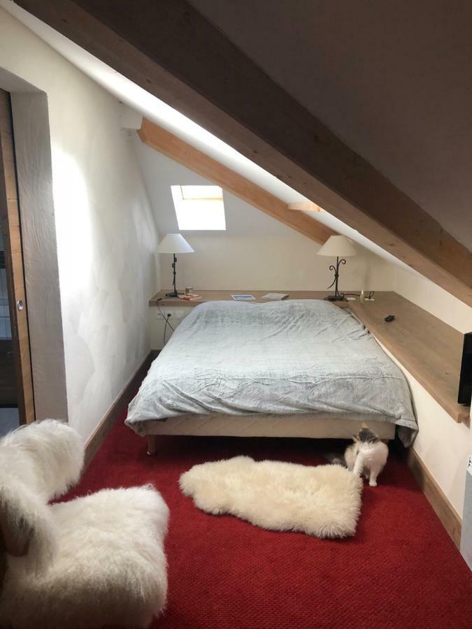 Penthouse "Bond 007" 120 M2 Piscine Sauna Risoul 1850 Eksteriør bilde